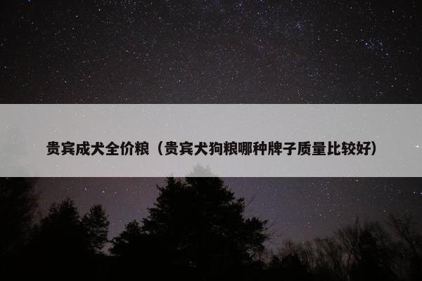 贵宾成犬全价粮（贵宾犬狗粮哪种牌子质量比较好）