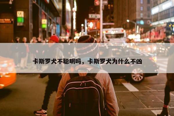 卡斯罗犬不聪明吗，卡斯罗犬为什么不凶