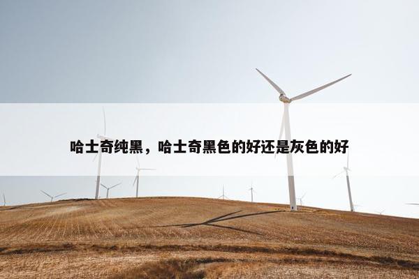 哈士奇纯黑，哈士奇黑色的好还是灰色的好