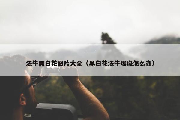 法牛黑白花图片大全（黑白花法牛爆斑怎么办）
