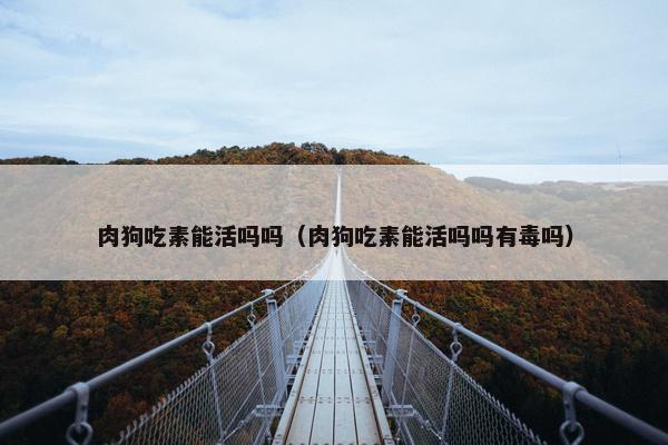 肉狗吃素能活吗吗（肉狗吃素能活吗吗有毒吗）