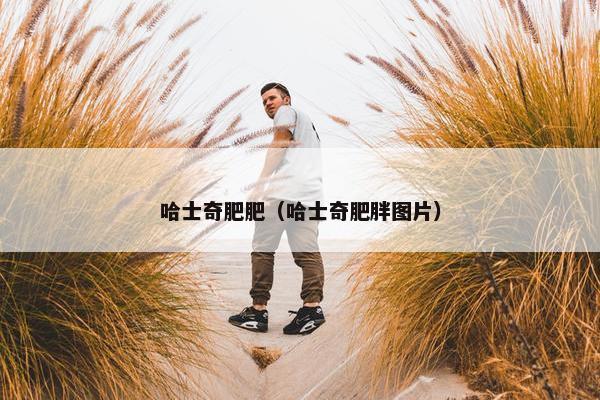 哈士奇肥肥（哈士奇肥胖图片）