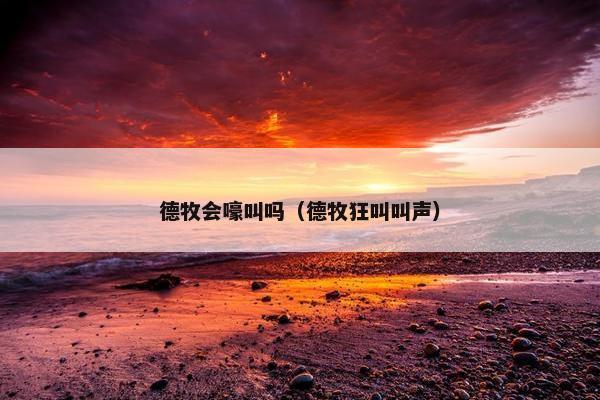 德牧会嚎叫吗（德牧狂叫叫声）