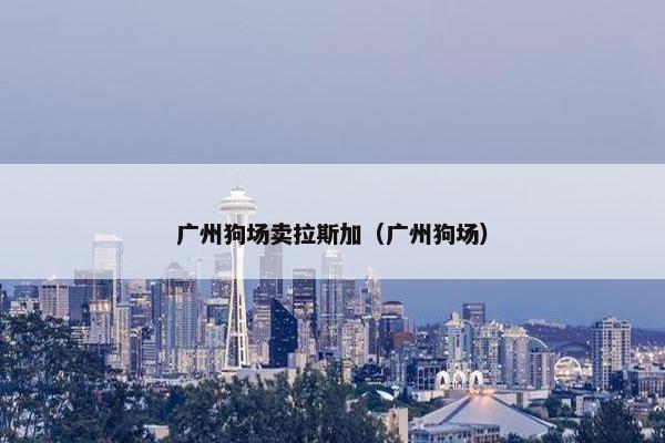 广州狗场卖拉斯加（广州狗场）