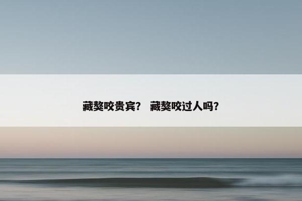 藏獒 第10页