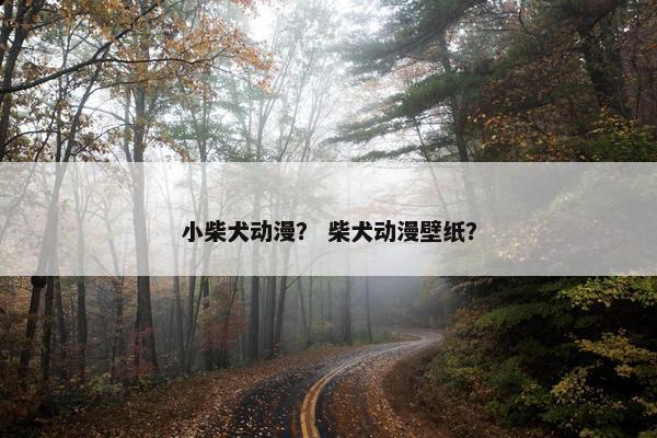 小柴犬动漫？ 柴犬动漫壁纸？