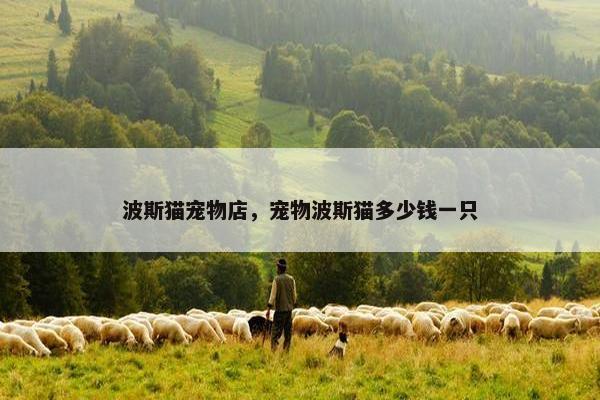 波斯猫宠物店，宠物波斯猫多少钱一只