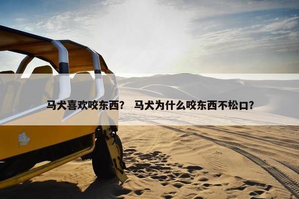 喜欢 第4页