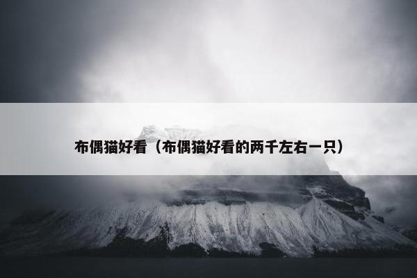 布偶猫好看（布偶猫好看的两千左右一只）