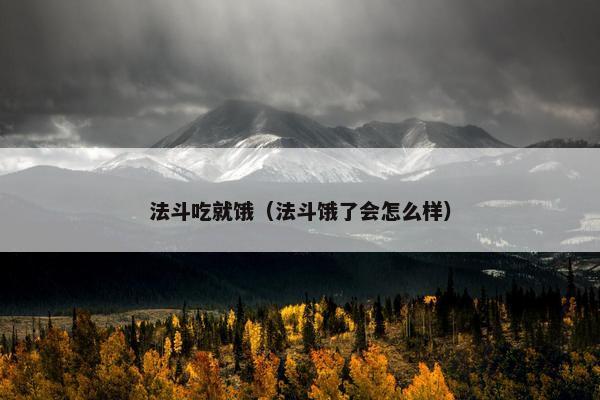 法斗吃就饿（法斗饿了会怎么样）
