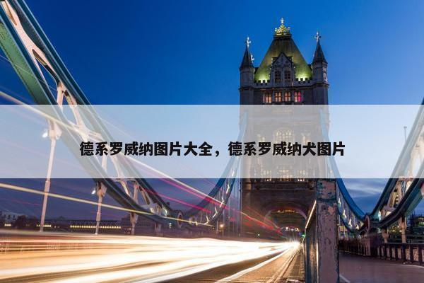 前额