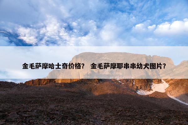 金毛萨摩哈士奇价格？ 金毛萨摩耶串串幼犬图片？