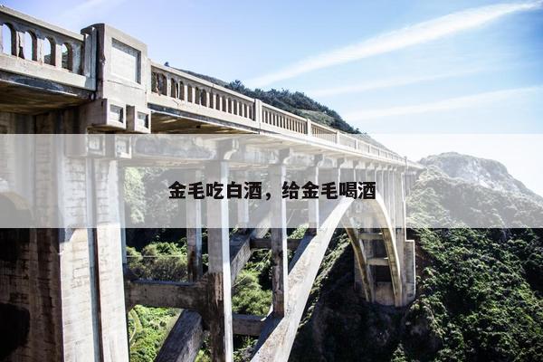 金毛吃白酒，给金毛喝酒