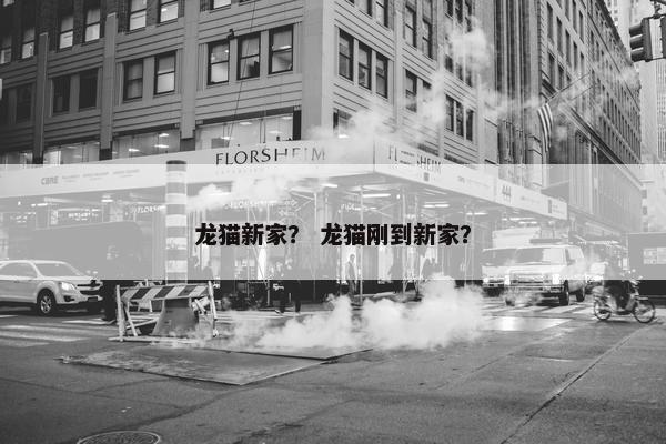 龙猫新家？ 龙猫刚到新家？