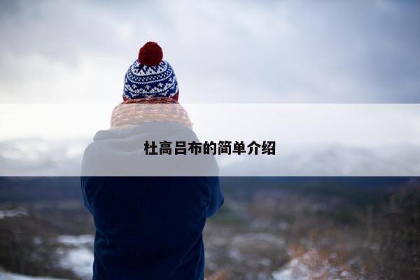 杜高吕布的简单介绍