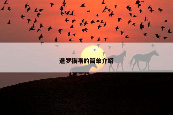 暹罗猫咯的简单介绍