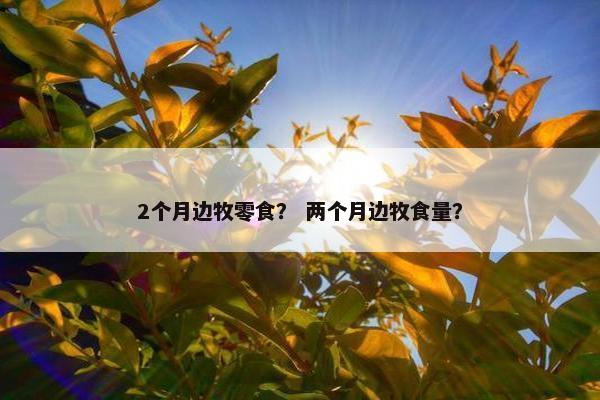 2个月边牧零食？ 两个月边牧食量？