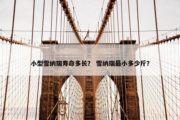护理