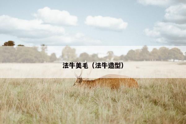 法牛美毛（法牛造型）