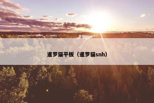 暹罗猫平板（暹罗猫snh）