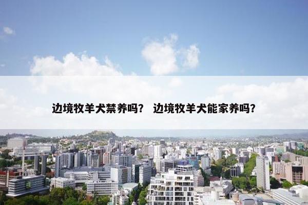边境牧羊犬禁养吗？ 边境牧羊犬能家养吗？