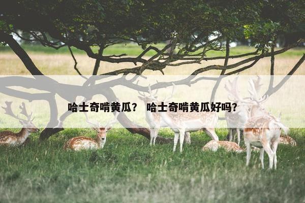 哈士奇啃黄瓜？ 哈士奇啃黄瓜好吗？
