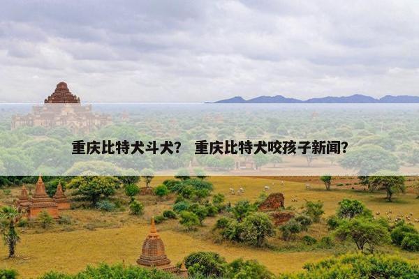 重庆比特犬斗犬？ 重庆比特犬咬孩子新闻？
