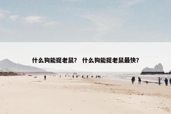 什么狗能捉老鼠？ 什么狗能捉老鼠最快？