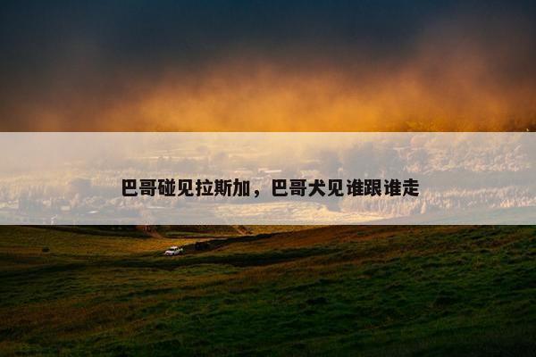 巴哥碰见拉斯加，巴哥犬见谁跟谁走