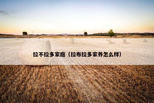 拉不拉多家庭（拉布拉多家养怎么样）
