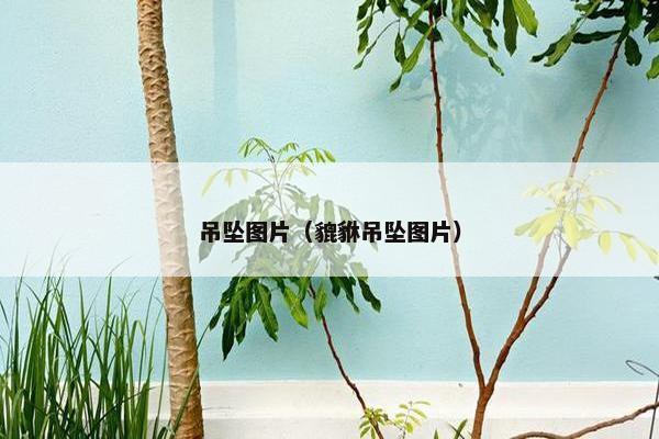 吊坠图片（貔貅吊坠图片）
