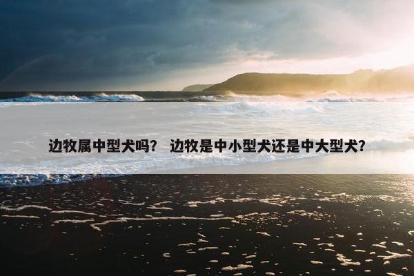 边牧属中型犬吗？ 边牧是中小型犬还是中大型犬？