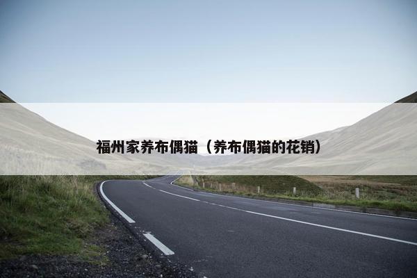 福州家养布偶猫（养布偶猫的花销）