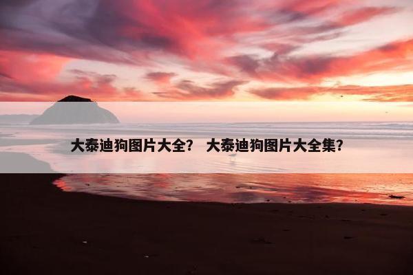 大泰迪狗图片大全？ 大泰迪狗图片大全集？