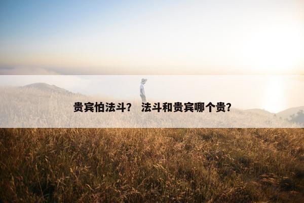 贵宾怕法斗？ 法斗和贵宾哪个贵？