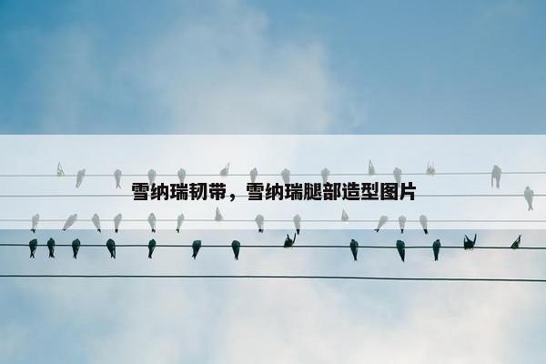 雪纳瑞韧带，雪纳瑞腿部造型图片