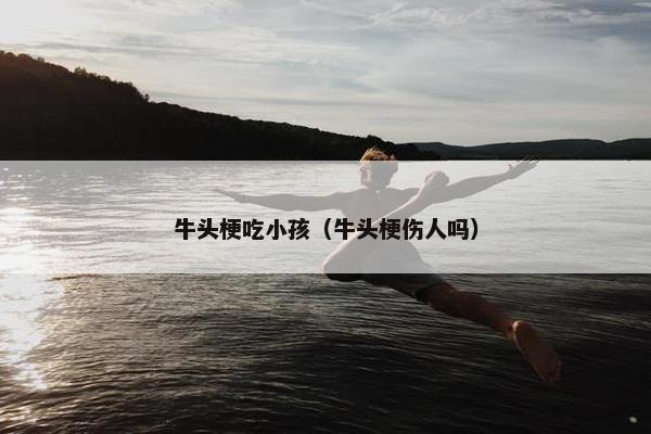 牛头梗吃小孩（牛头梗伤人吗）