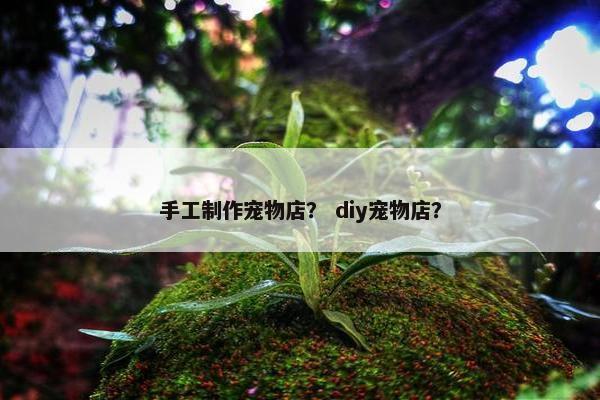 手工制作宠物店？ diy宠物店？