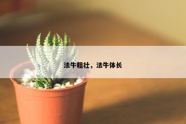 法牛粗壮，法牛体长