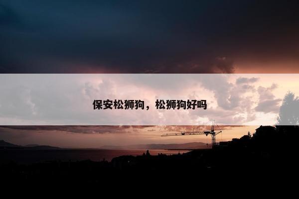 保安松狮狗，松狮狗好吗