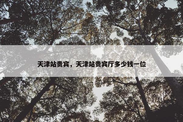 天津站贵宾，天津站贵宾厅多少钱一位