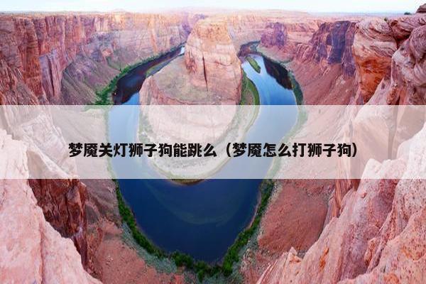 梦魇关灯狮子狗能跳么（梦魇怎么打狮子狗）