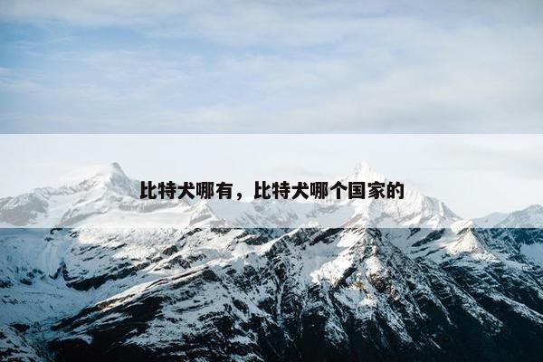 比特犬哪有，比特犬哪个国家的