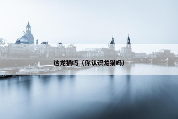 这龙猫吗（你认识龙猫吗）