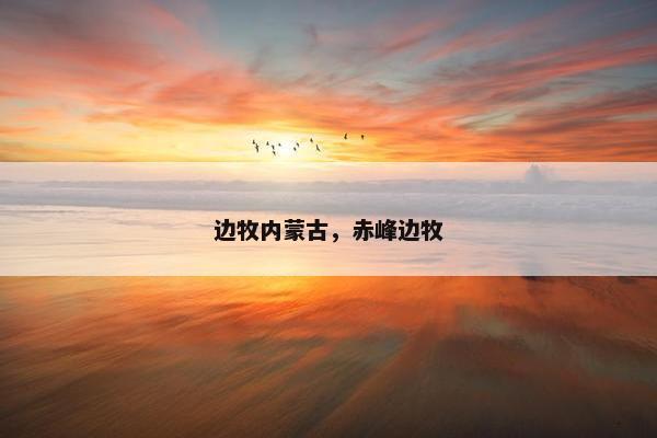 边牧内蒙古，赤峰边牧