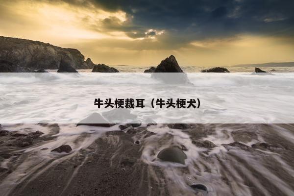 牛头梗裁耳（牛头梗犬）