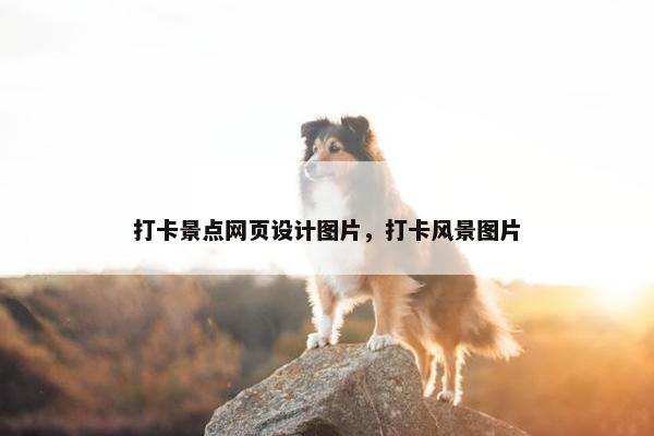 打卡景点网页设计图片，打卡风景图片