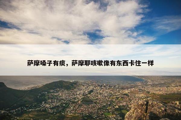 萨摩嗓子有痰，萨摩耶咳嗽像有东西卡住一样