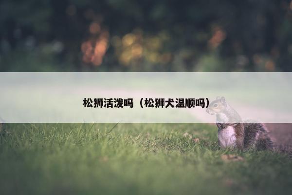 独立性