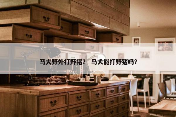 马犬野外打野猪？ 马犬能打野猪吗？